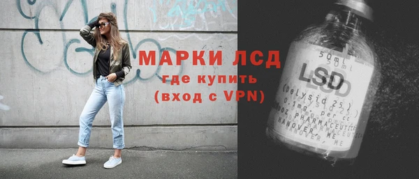 индика Алексин