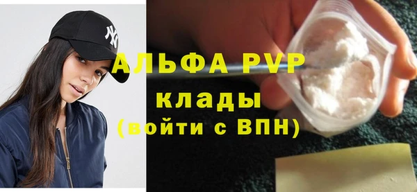 индика Алексин