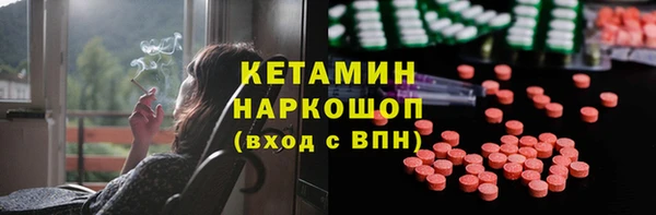 индика Алексин
