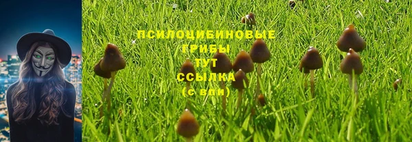 2c-b Алексеевка