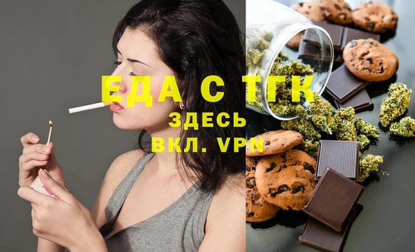 индика Алексин