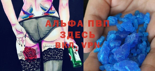 индика Алексин