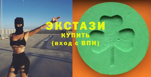 индика Алексин