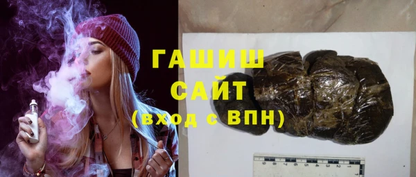 индика Алексин