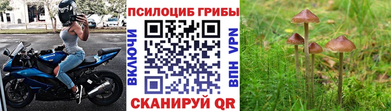 Псилоцибиновые грибы MAGIC MUSHROOMS  Краснознаменск 